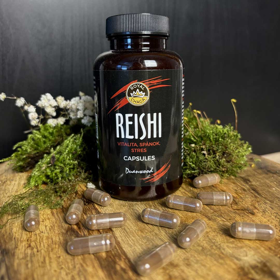 Reishi kapsuly